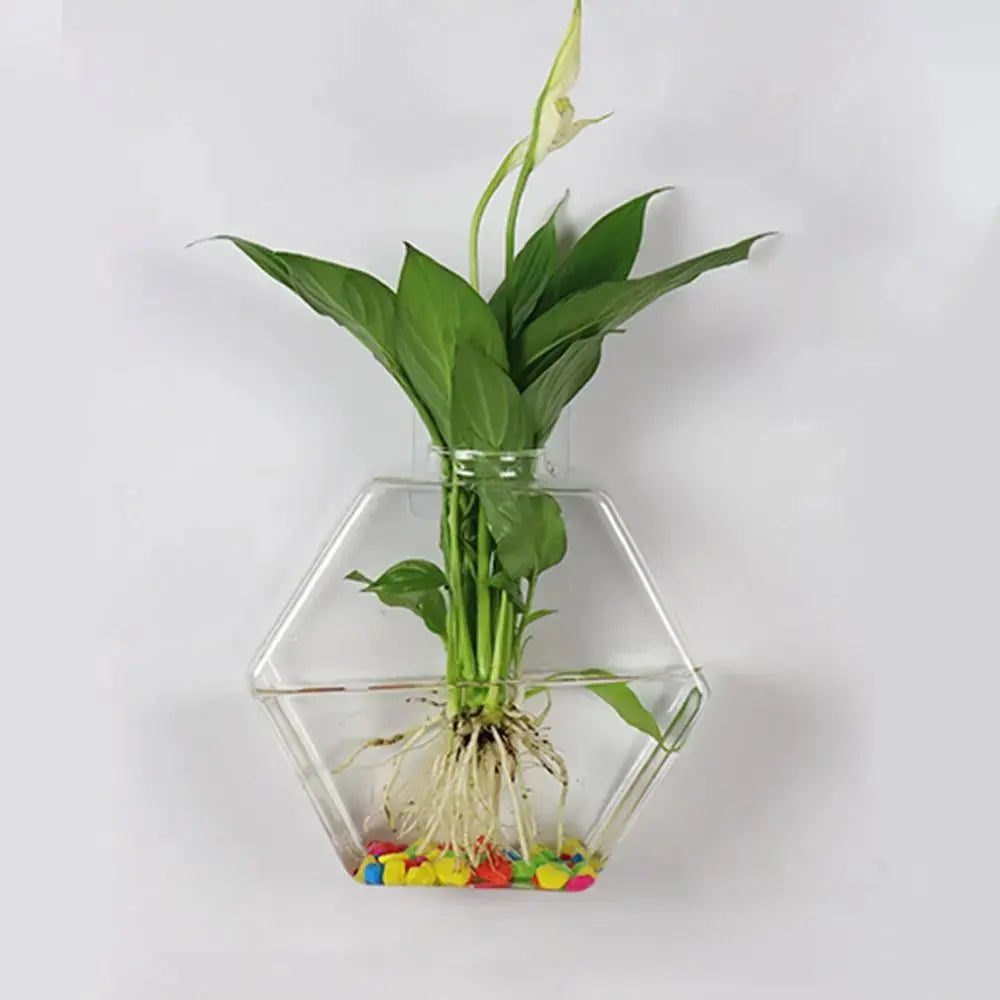 Hanging glass vase for cuttings and small fish

