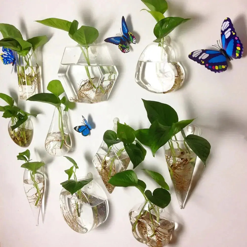 Transparent wall container for water-grown plants