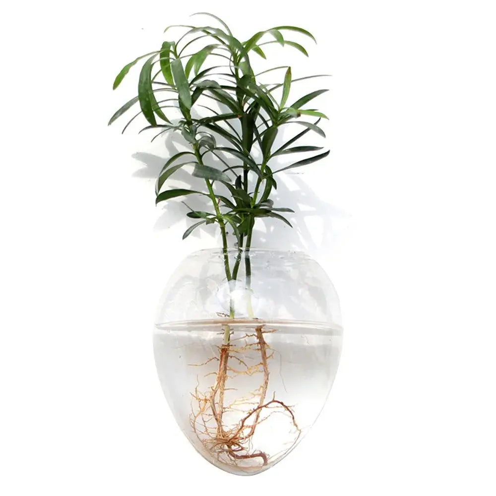 Wall-hanging plant pot for vertical gardening