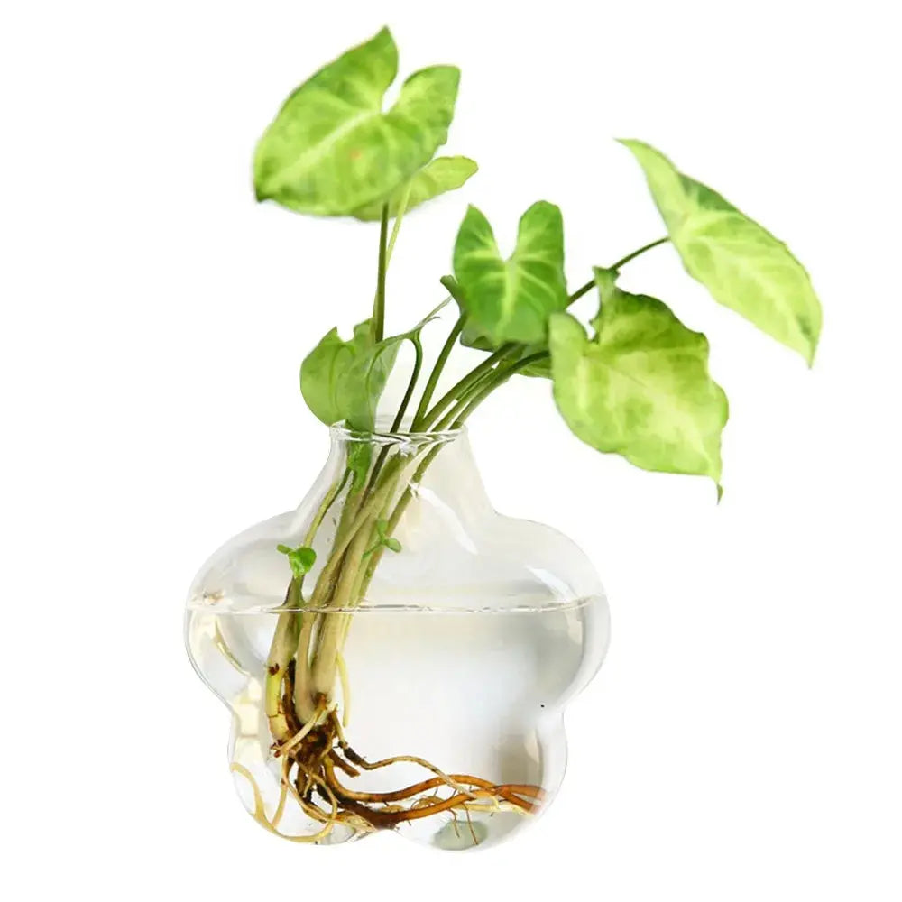 Glass wall vase used as a mini fish tank