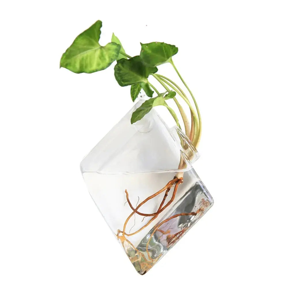 Modern hydroponic planter mounted on wall