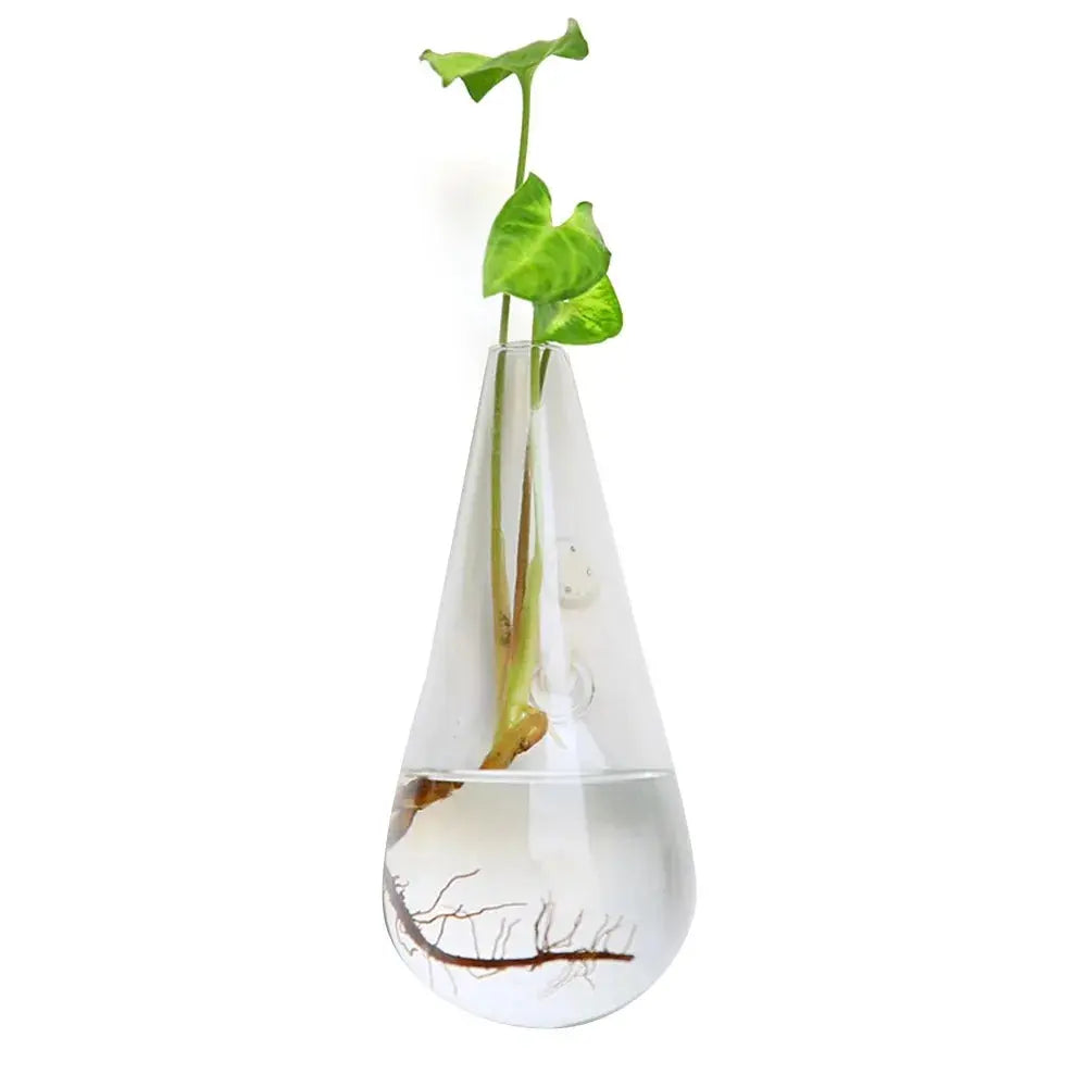 Wall-mounted cone vase for modern hydroponics


