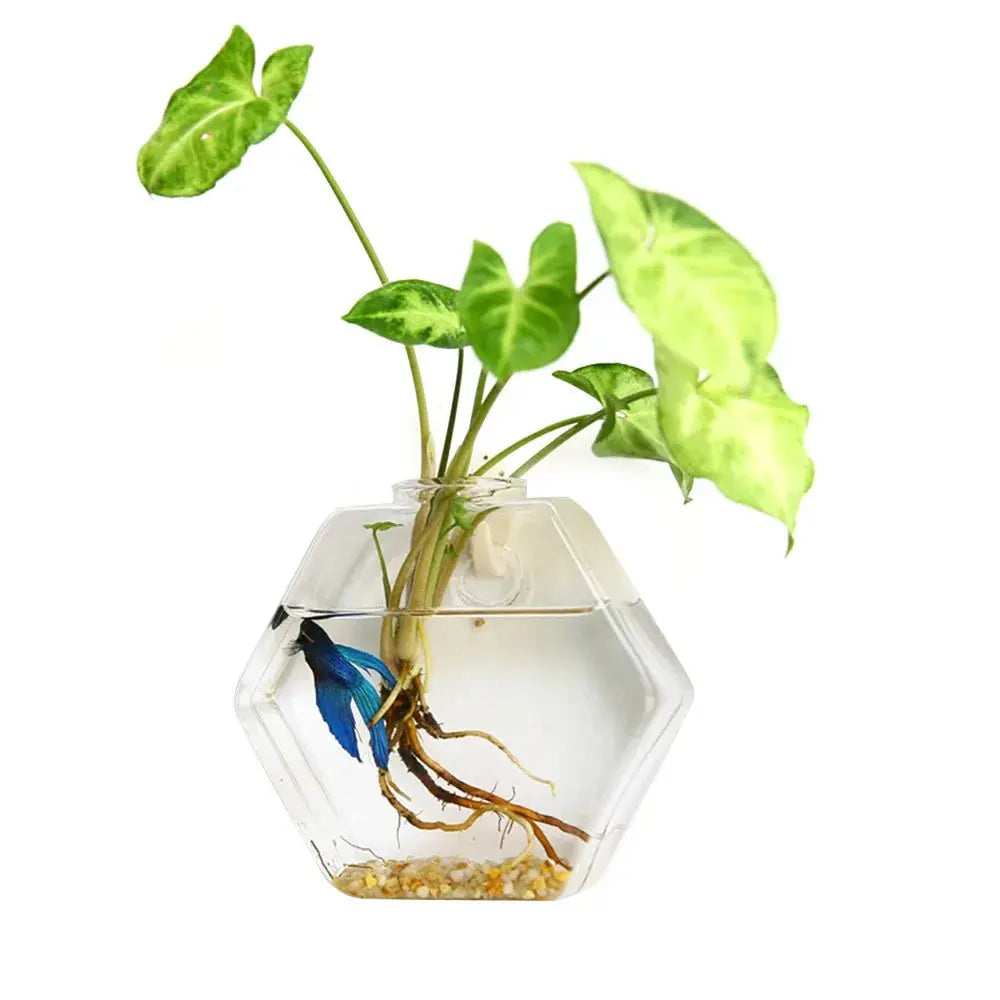 Clear hanging glass vase for green indoor plants