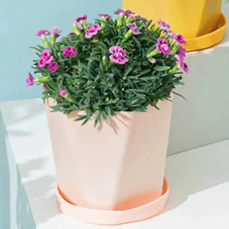 Plastic succulent flowerpot with drainage tray

