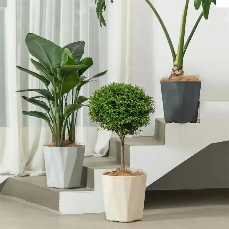 Minimalist flower container with water tray

