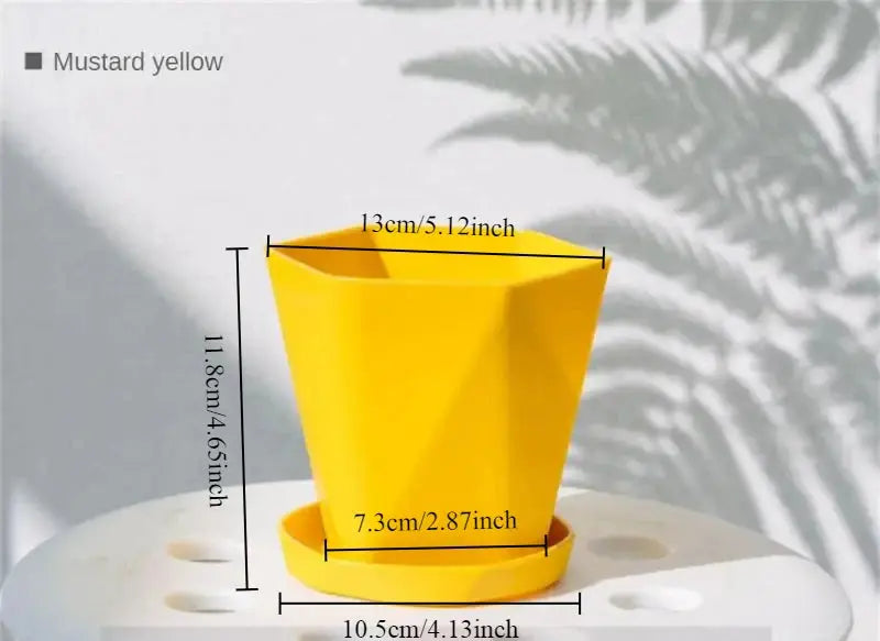Simple desktop pot for cacti and herbs