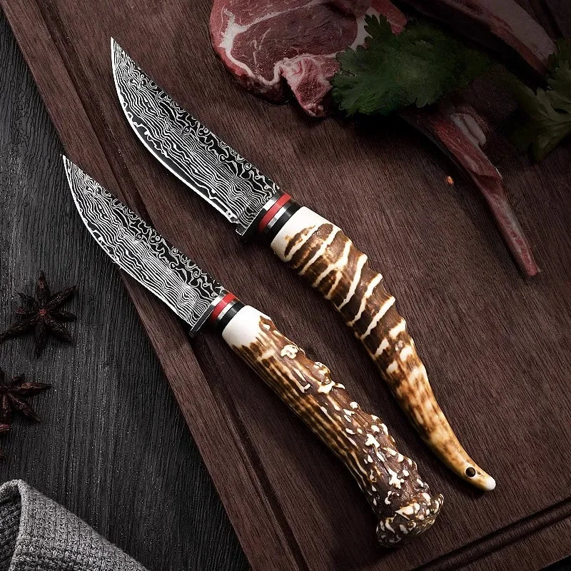 Arthaya™ 2-Piece Mongolian Boning Knife Set – Imitation Sheep Horn Handle, Sharp Kitchen & Fruit Knives