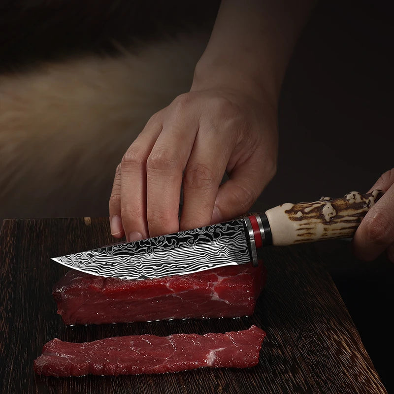 Arthaya™ 2-Piece Mongolian Boning Knife Set – Imitation Sheep Horn Handle, Sharp Kitchen & Fruit Knives