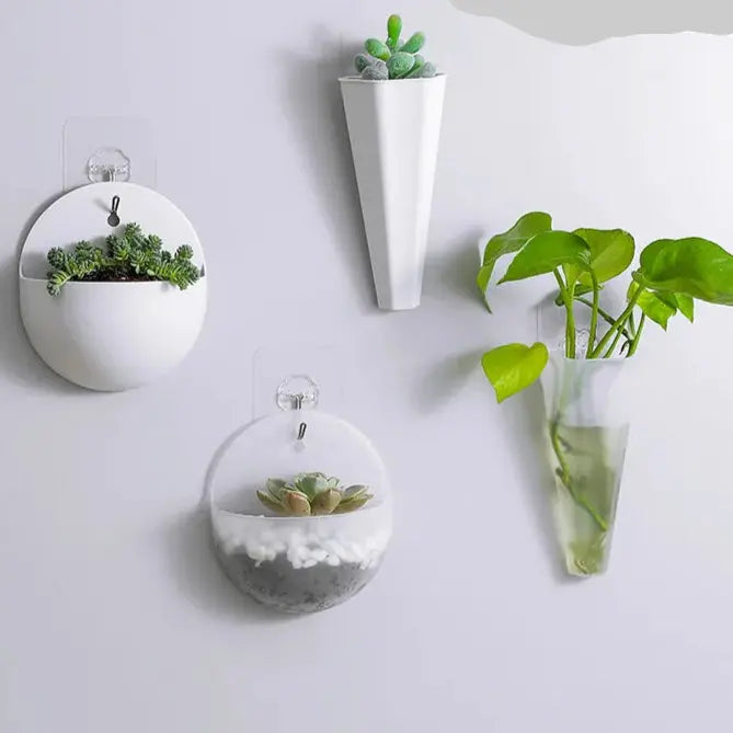 Self-watering lazy wall vase for small plants

