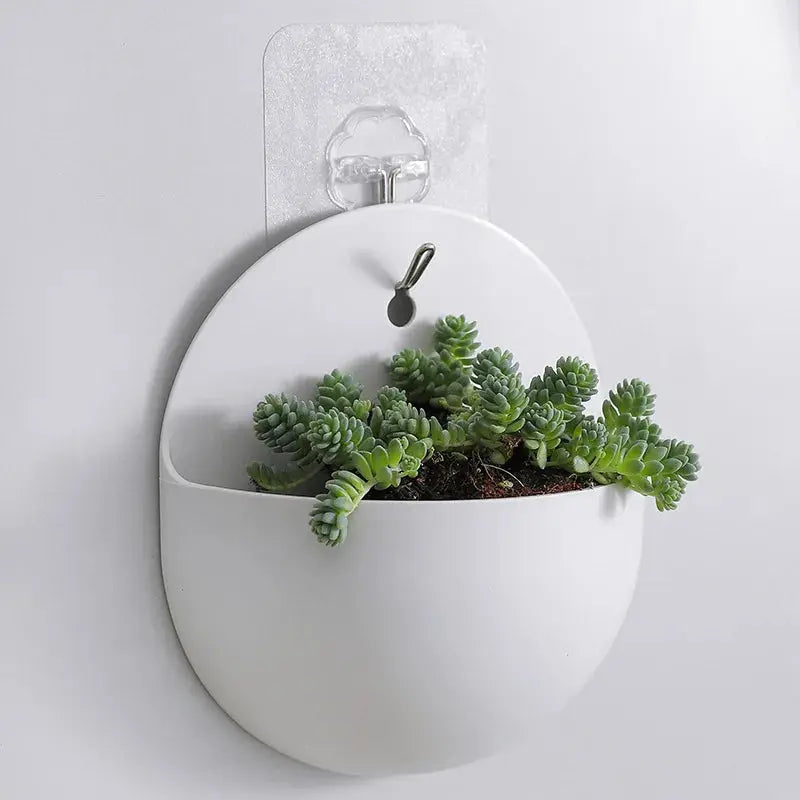 Transparent plastic planter for plant cuttings